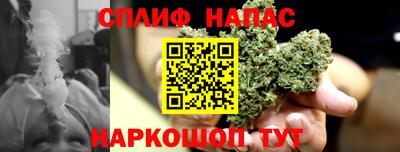 spice Обь