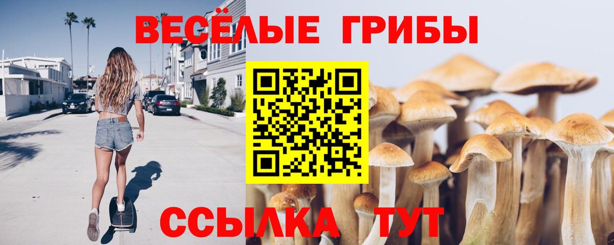 Галлюциногенные грибы мухоморы  Вход с VPN  Серов 